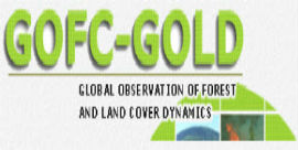 gofc_gold_4